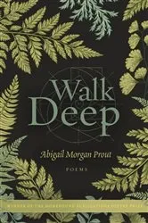 Book cover of Walk Deep by Prout, Abigail  , Morgan