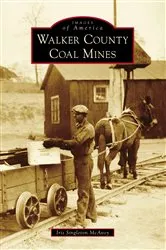Book cover of Walker County Coal Mines by Iris Singleton McAvoy