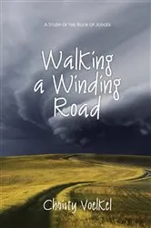 Book cover of Walking a Winding Road by Voelkel, Christy, L.