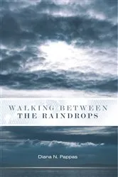 Book cover of Walking Between the Raindrops by Unknown