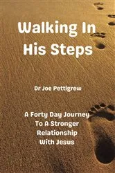 Book cover of WALKING IN HIS STEPS by joe pettigrew