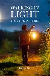 Book cover of Walking in Light by Brooke Holt