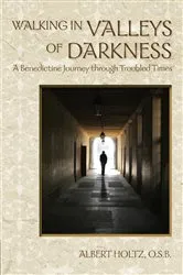 Book cover of Walking in Valleys of Darkness by Albert Holtz