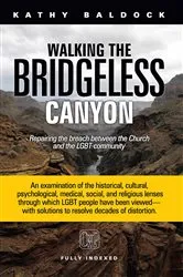 Book cover of Walking the Bridgeless Canyon by Kathy Baldock