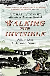 Book cover of Walking The Invisible by Michael Stewart