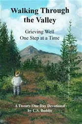 Book cover of Walking through the Valley by Emilie M. Townes