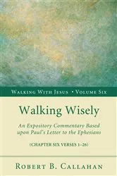 Book cover of Walking Wisely by Robert B.Sr. Callahan