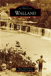 Book cover of Walland by Unknown