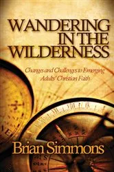 Book cover of Wandering in the Wilderness by Brian Simmons