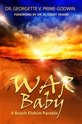 Book cover of War Baby by Lizzie Lane