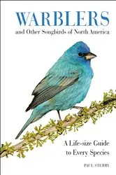 Book cover of Warblers and Other Songbirds of North America by Paul Sterry