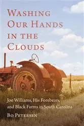 Book cover of Washing Our Hands in the Clouds by Bo Petersen