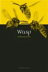 Book cover of Wasp by Richard Jones