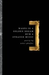 Book cover of Wasps in a Golden Dream Hum a Strange Music by Asher Ghaffar