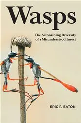 Book cover of Wasps by Unknown