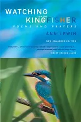 Book cover of Watching for the Kingfisher by Ann Lewin