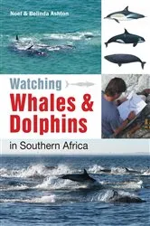 Book cover of Watching Whales & Dolphins in Southern Africa by Noel Ashton