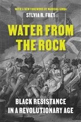 Book cover of Water from the Rock by Sylvia R. Frey
