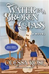 Book cover of Water In A Broken Glass by Odessa Rose