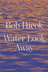 Book cover of Water Look Away by Bob Hicok