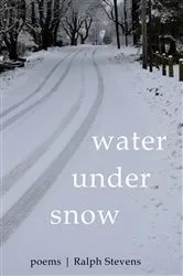 Book cover of Water under Snow by Ralph Stevens