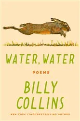 Book cover of Water, Water by Cary Fagan