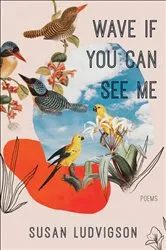 Book cover of Wave If You Can See Me by Susan Ludvigson