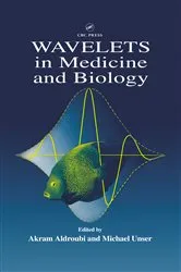 Book cover of Wavelets in Medicine and Biology by Unknown