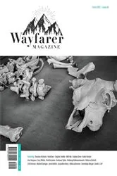 Book cover of Wayfarer Magazine Issue 42 by Connor Wolfe