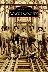 Book cover of Wayne County by James E. Casto