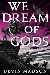 Book cover of We Dream of Gods by Devin Madson