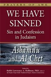 Book cover of We Have Sinned by Tony Bayfield