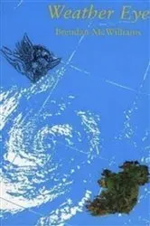 Book cover of Weather Eye by Brendan McWilliams