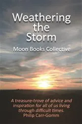 Book cover of Weathering the Storm by Unknown