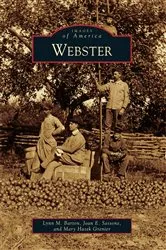 Book cover of Webster by Lynn M. Barton