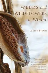 Book cover of Weeds and Wildflowers in Winter by Lauren Brown