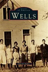 Book cover of Wells by Hope M. Shelley