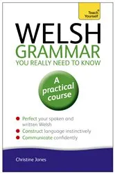 Book cover of Welsh Grammar You Really Need to Know: Teach Yourself by Christine Jones