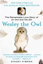 Book cover of Wesley the Owl by Stacey O'Brien