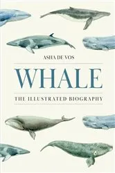 Book cover of Whale by Unknown