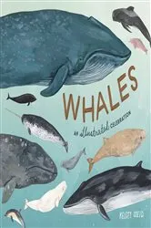 Book cover of Whales by Unknown