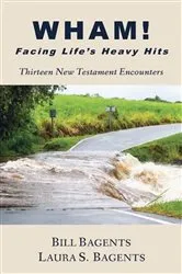 Book cover of WHAM! Facing Life's Heavy Hits by Bill Bagents