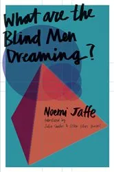 Book cover of What are the Blind Men Dreaming? by Noemi Jaffe