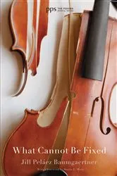 Book cover of What Cannot Be Fixed by Jill Peláez Baumgaertner