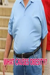 Book cover of WHAT CAUSES OBESITY? by Unknown