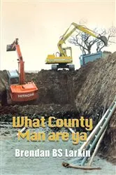 Book cover of What County Man are Ya by Brendan BS Larkin