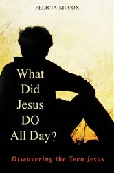 Book cover of What Did Jesus DO All Day? by Felicia Silcox
