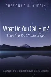 Book cover of What Do You Call Him? Unveiling 160 Names of God by Shavonne R. Ruffin