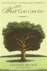 Book cover of What God Can Do by Teresa Almager