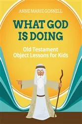 Book cover of What God Is Doing by Anne Marie Gosnell